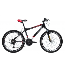 Bicycle ARDIS 24 MTB AL SILVER-BIKE 500